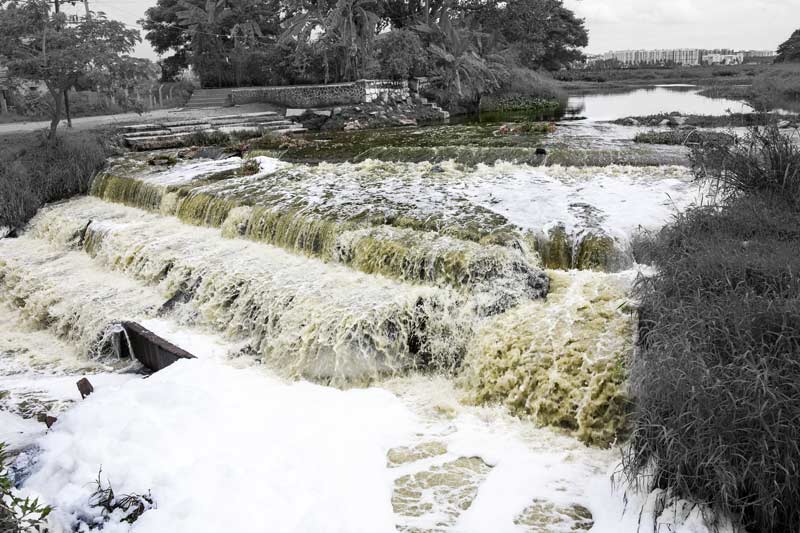 Bellandur, one of the largest and most polluted lakes of Bengaluru, Karnataka, where the water is dark, opaque, heavily foaming, producing a strong foul stench that engulfs the entire neighborhood, and where wildlife and fish is not possible